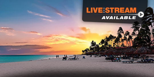 Panoramic view of Palm Beach in Aruba, featuring a wide stretch of white sand beach with turquoise water, swaying palms, and lounge chairs with umbrellas.
