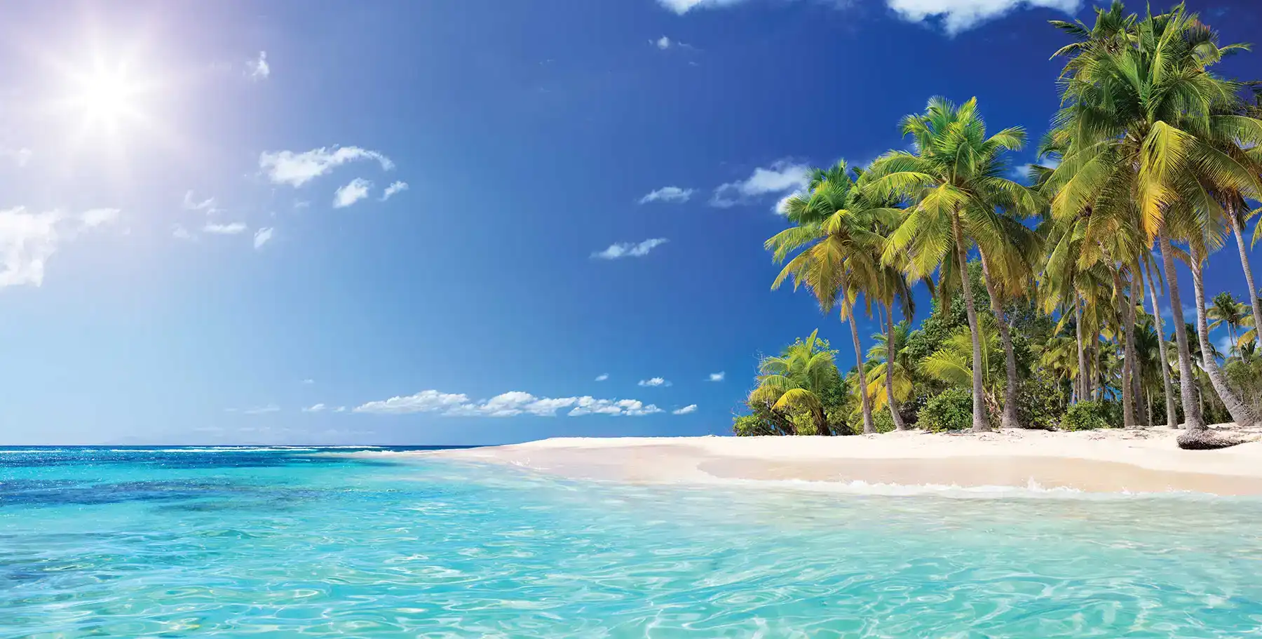 Palm trees sway gently over a pristine white-sand beach with crystal-clear turquoise water, the ideal setting for a relaxing CME/CE conference.