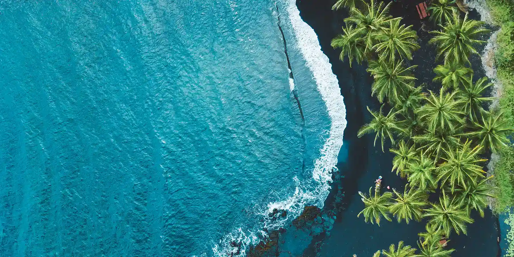 Aerial view of a secluded beach with lush palm trees and crystal-clear turquoise water, the perfect backdrop for CME/CE conferences in a tropical paradise.